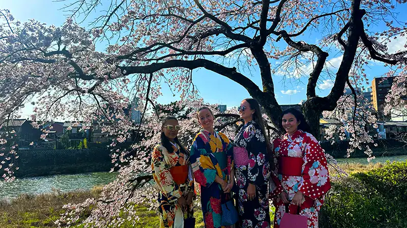 a group of female travellers in front of blossom sakura tree